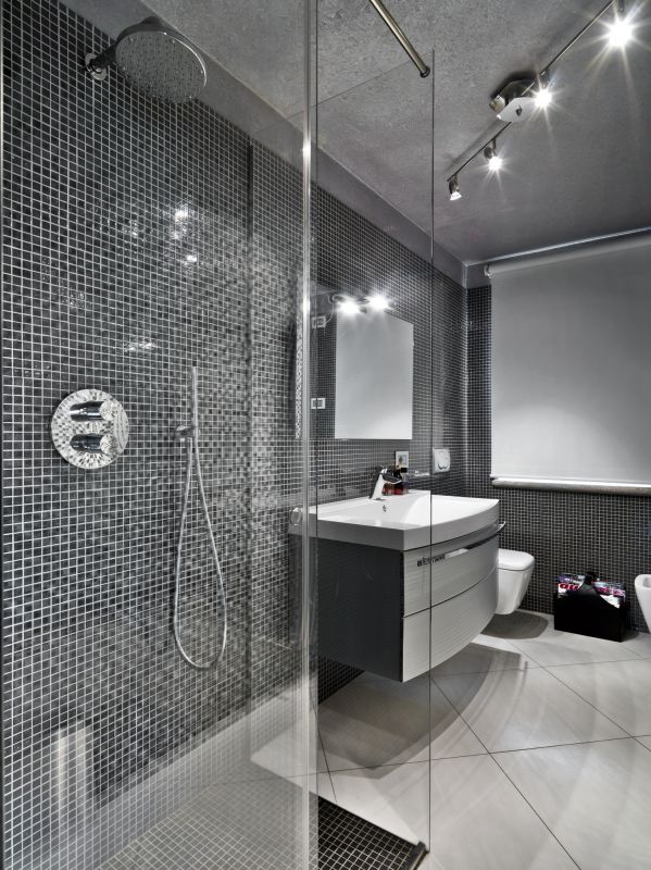 Sophisticated Shower Design